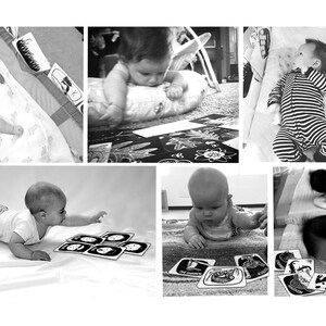 Creature Cards Baby Art Flash Cards Black and White 20 Printed Cards image 4