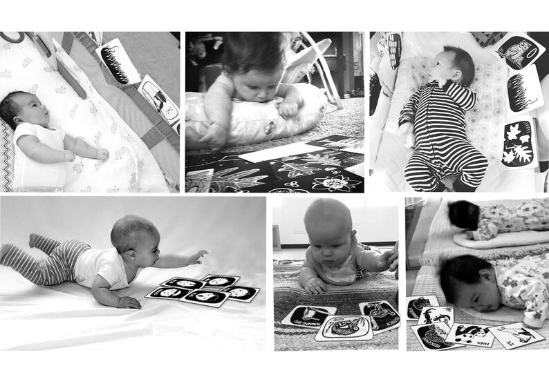 Creature Cards Baby Art Flash Cards Black and White 20 Printed Cards image 4