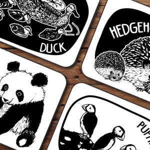 Creature Cards Baby Art Flash Cards Black and White - 20 Printed Cards