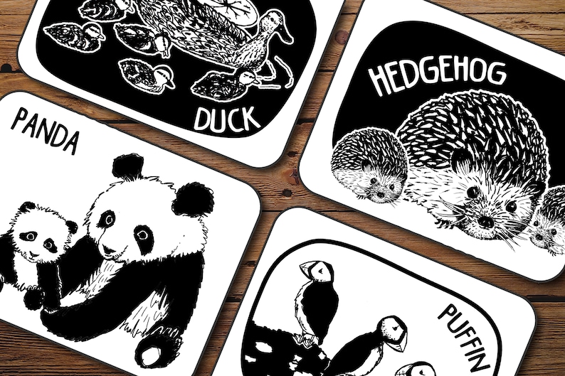 Creature Cards Baby Art Flash Cards Black and White 20 Printed Cards image 1