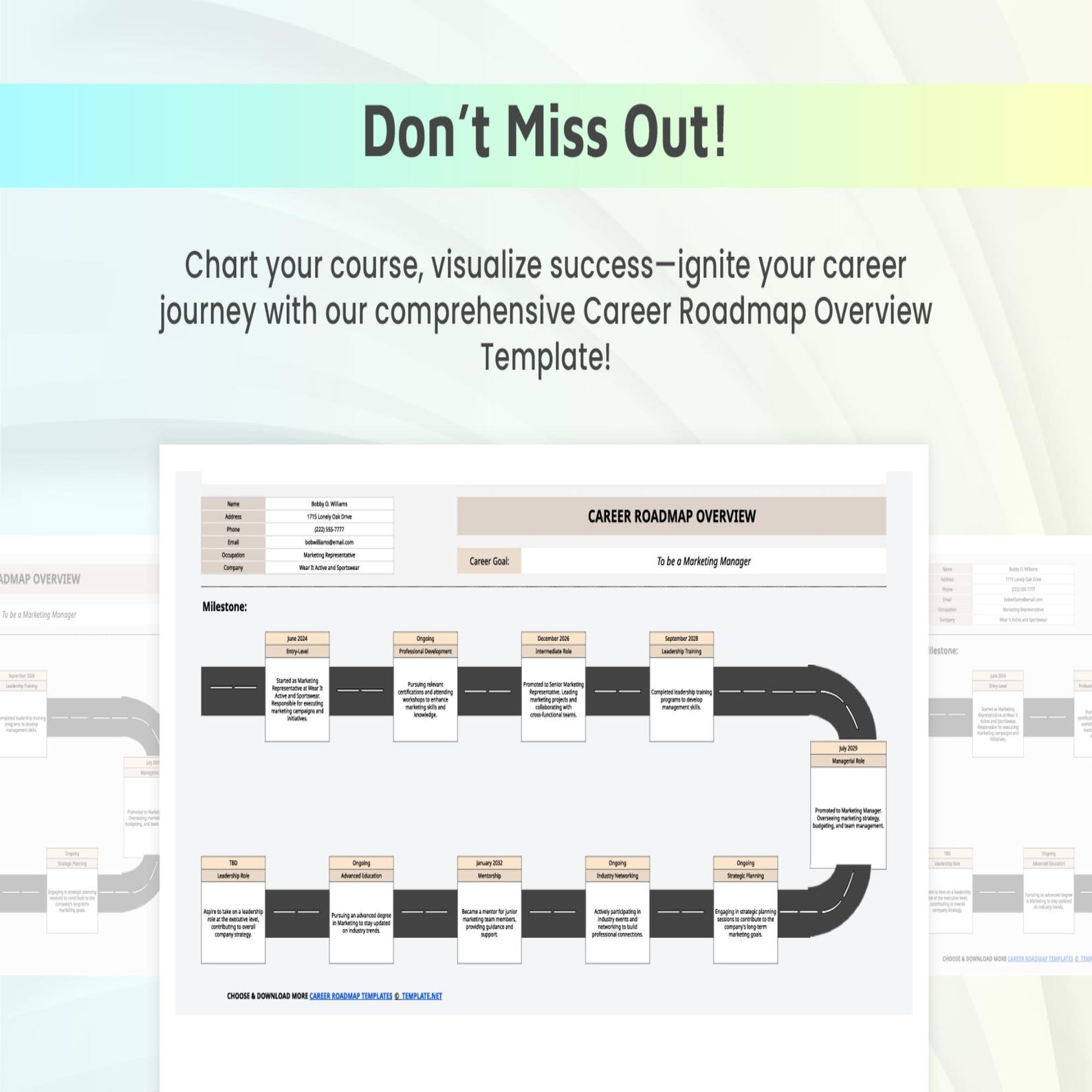 Career Roadmap Overview Template – Long Term Goal & Skill Planning Tool ...