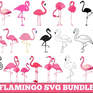 Flamingo SVG Bundle | Bird Cut Files (Digital Download)