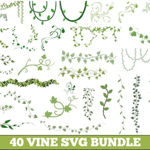 Vine Silhouette SVG Bundle: Climbing Plant Vector Graphics (Digital Download)