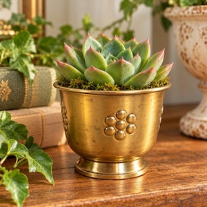 May include: A succulent plant with thick, pale green leaves tipped in pink, potted in a metallic gold-toned brass planter. The planter features a raised, circular floral-like pattern embossed around its exterior and a pedestal base.