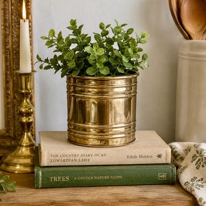 May include: A cylindrical brass planter with horizontal ribbed detailing, containing a small green faux plant. The planter rests on two stacked books titled The Country Diary of an Edwardian Lady and Trees A Golden Nature Guide.