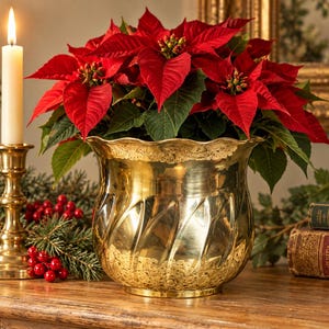 May include: A vibrant red poinsettia plant sits inside a polished brass planter with a scalloped rim and a diagonal ribbed texture. The planter is positioned next to a tall white taper candle in a brass holder and some evergreen branches.