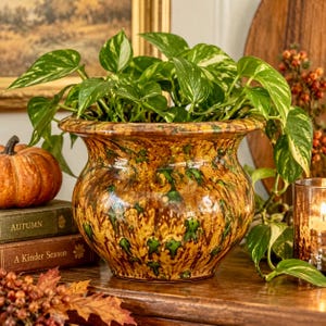 May include: A round ceramic planter with a mottled brown and green glaze finish. The planter features a wide, flared rim and a bulbous body, containing a lush green pothos plant with variegated heart-shaped leaves trailing over the sides.