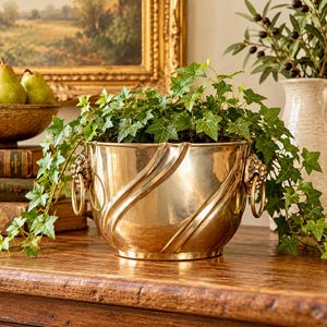 May include: A polished brass planter featuring a rounded body with diagonal embossed ridges and two decorative lion head handles with hanging rings. The planter is filled with a lush green ivy plant that spills over the sides.