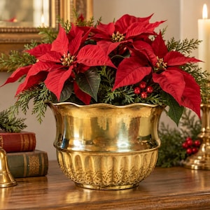 May include: A vibrant red poinsettia plant with green foliage and small red berries is arranged in a polished gold-toned metal planter. The planter features a scalloped rim and a decorative fluted base, creating a festive display.