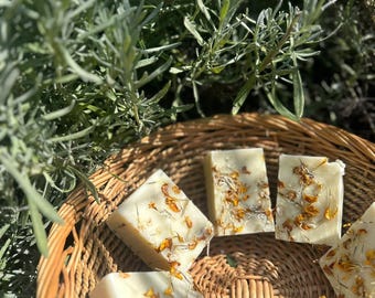 May include: Several square, off-white soaps with dried flower petals are arranged in a woven basket. The soaps are surrounded by green foliage. The soaps have a natural, handmade appearance.