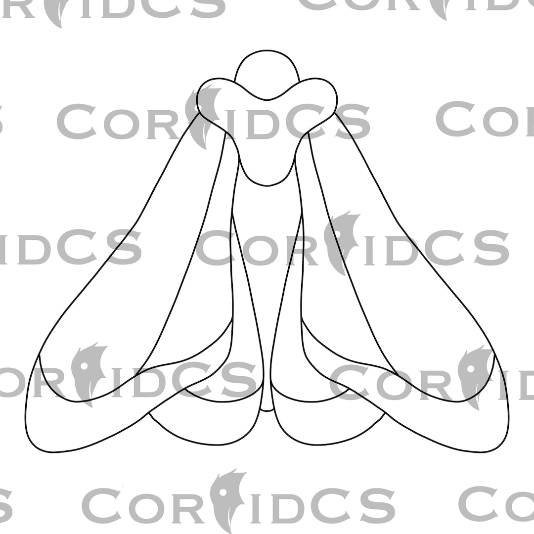 Moth Stained Glass Pattern - Digital Download - Etsy