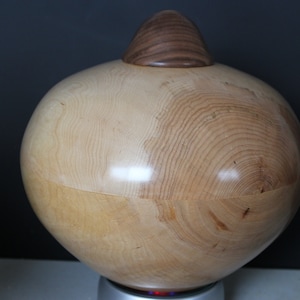 Birds Eye Maple with Walnut screw top Stunning Urn for cremains 310 cubic Inch