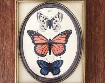 Vintage picture frame brass picture frame framed butterflies vintage decor
