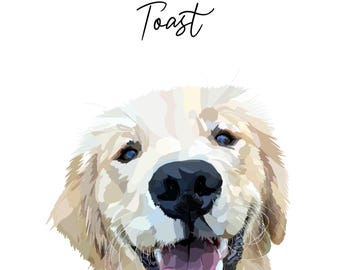 Pet Portraits