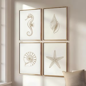May include: Four framed art prints featuring sea life illustrations. Each print has a gold frame and a white background. The illustrations include a seahorse, a seashell, a nautilus shell, and a starfish. The art prints are displayed on a wall.