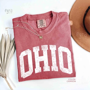 Vintage Ohio T-shirt / Comfort Colors Ohio Shirt / Ohio Vacation Tee