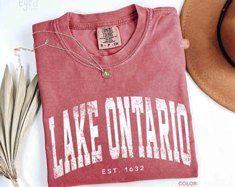 Vintage Lake Ontario T-shirt, Comfort Colors Protest Shirt, Canada Tee, Anti Trump Shirt