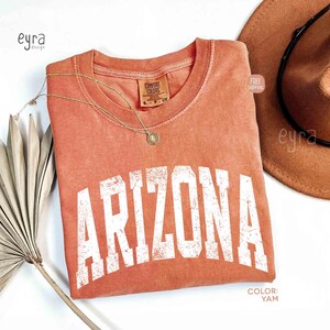 May include: A terracotta-colored short-sleeve t-shirt with a crew neckline. The shirt features the word ARIZONA printed in large, distressed white capital letters across the chest. A gold-toned necklace with a small circular pendant rests on the collar.