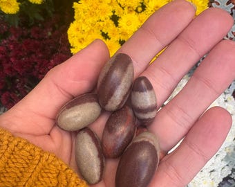 May include: A hand holding several smooth, oval-shaped stones. The stones are primarily brown with lighter tan or gray bands. The background features vibrant yellow and white flowers, and a yellow sweater.