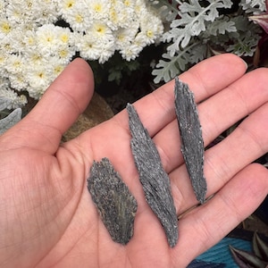 May include: Three pieces of raw black kyanite crystals, each with a unique shape and texture. The crystals are a dark gray color and are held in a hand. The background includes white flowers and greenery.