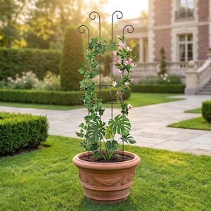 Può includere: Un alto traliccio da giardino in metallo nero con cime decorative a voluta, inserito in un vaso rotondo in terracotta. Il traliccio sostiene edera verde rampicante, una pianta di monstera con grandi foglie divise e un viticcio con piccoli fiori rosa.