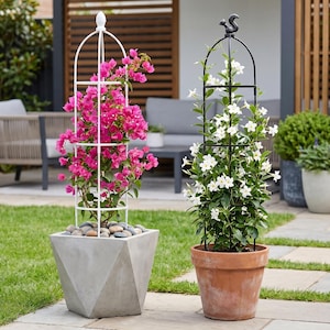 May include: Two potted climbing plants with trellises. One has bright pink flowers and a white trellis, the other has white flowers and a black trellis. The pots are on a stone patio with green grass.