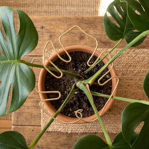 Monstera Support - Etsy