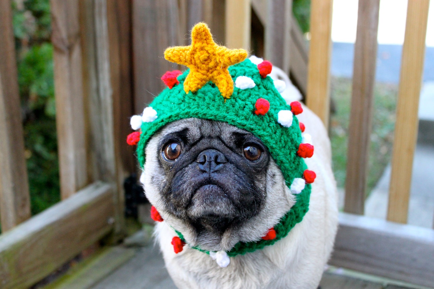 Dog Hat Oh Christmas Tree / Made to Order Etsy