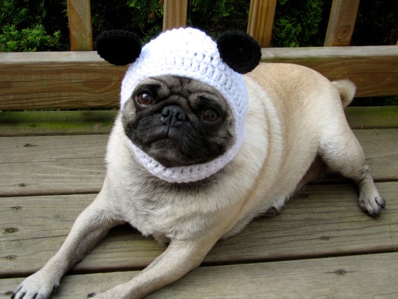 panda dog cost