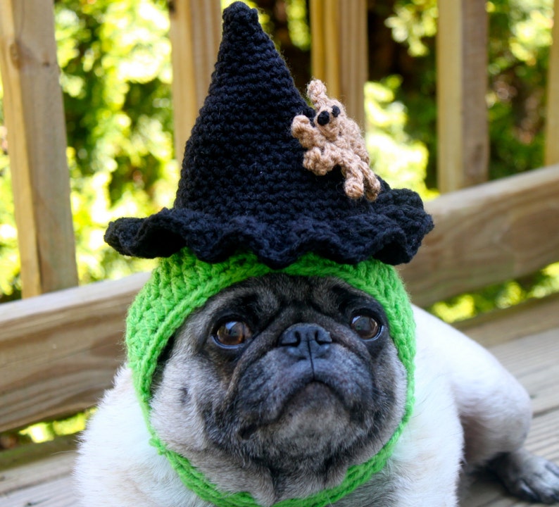 Spooky Witch Hat with Creepy Spider Dog Hat Made To Order Etsy