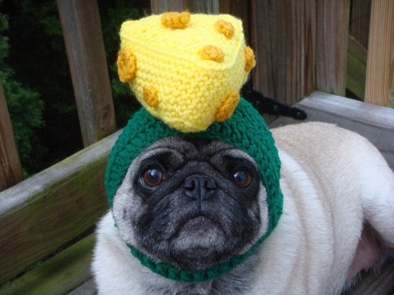 cheesehead hat for dogs