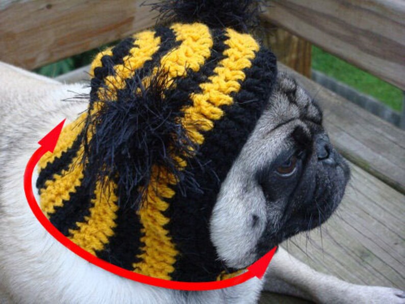 Loves Me Loves Me Not Daisy Flower Dog Hat Made to Order