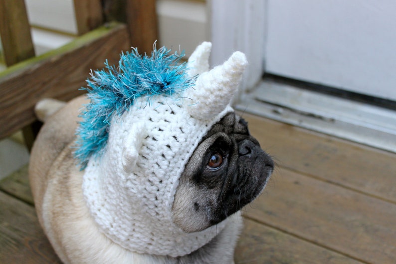 Magical Unicorn Dog Hat / Made to Order Etsy