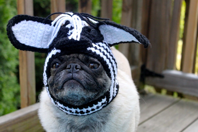 Zazzy Zebra Dog Hat / Made To Order Etsy
