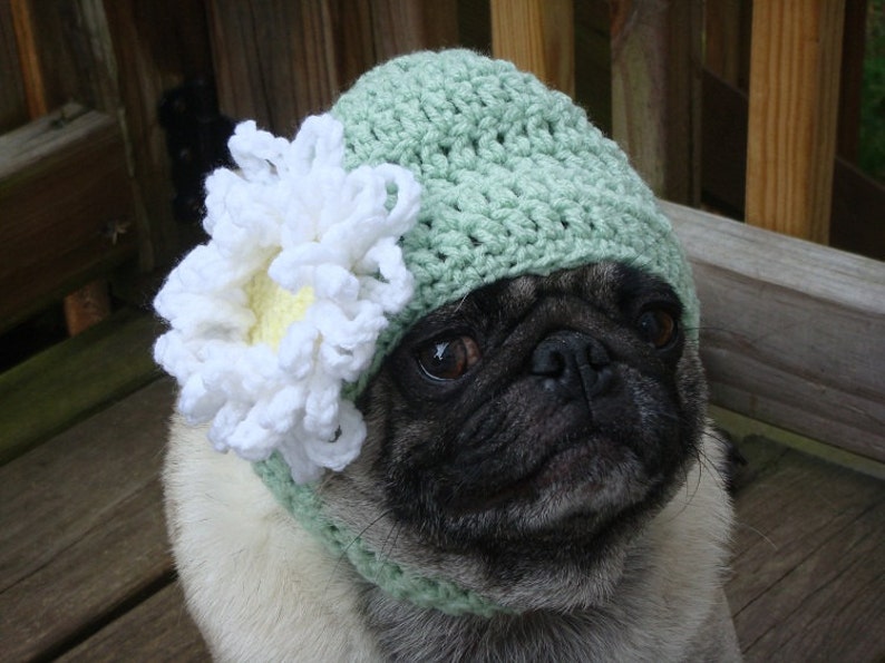 Loves Me Loves Me Not Daisy Flower Dog Hat  Made to Order