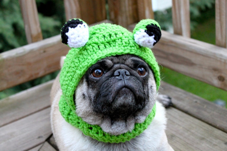 Dog Hat Big Eye Frog Hat/ Made to Order Etsy
