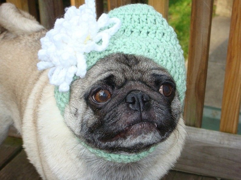 Loves Me Loves Me Not Daisy Flower Dog Hat Made to Order