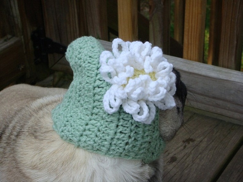 Loves Me Loves Me Not Daisy Flower Dog Hat Made to Order