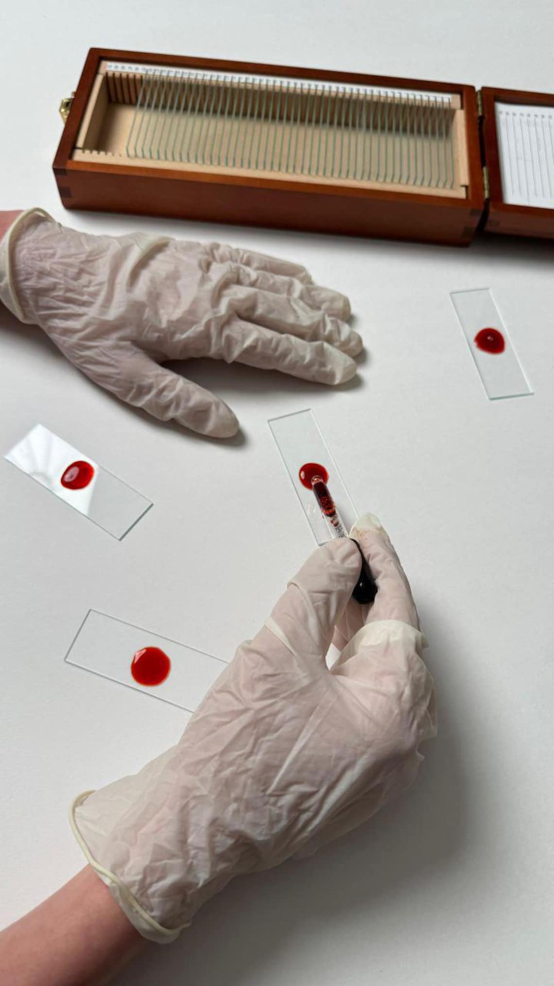 Dexter Morgan Trophy Blood Slide Box | Exact Replica for Dexter Fans ...