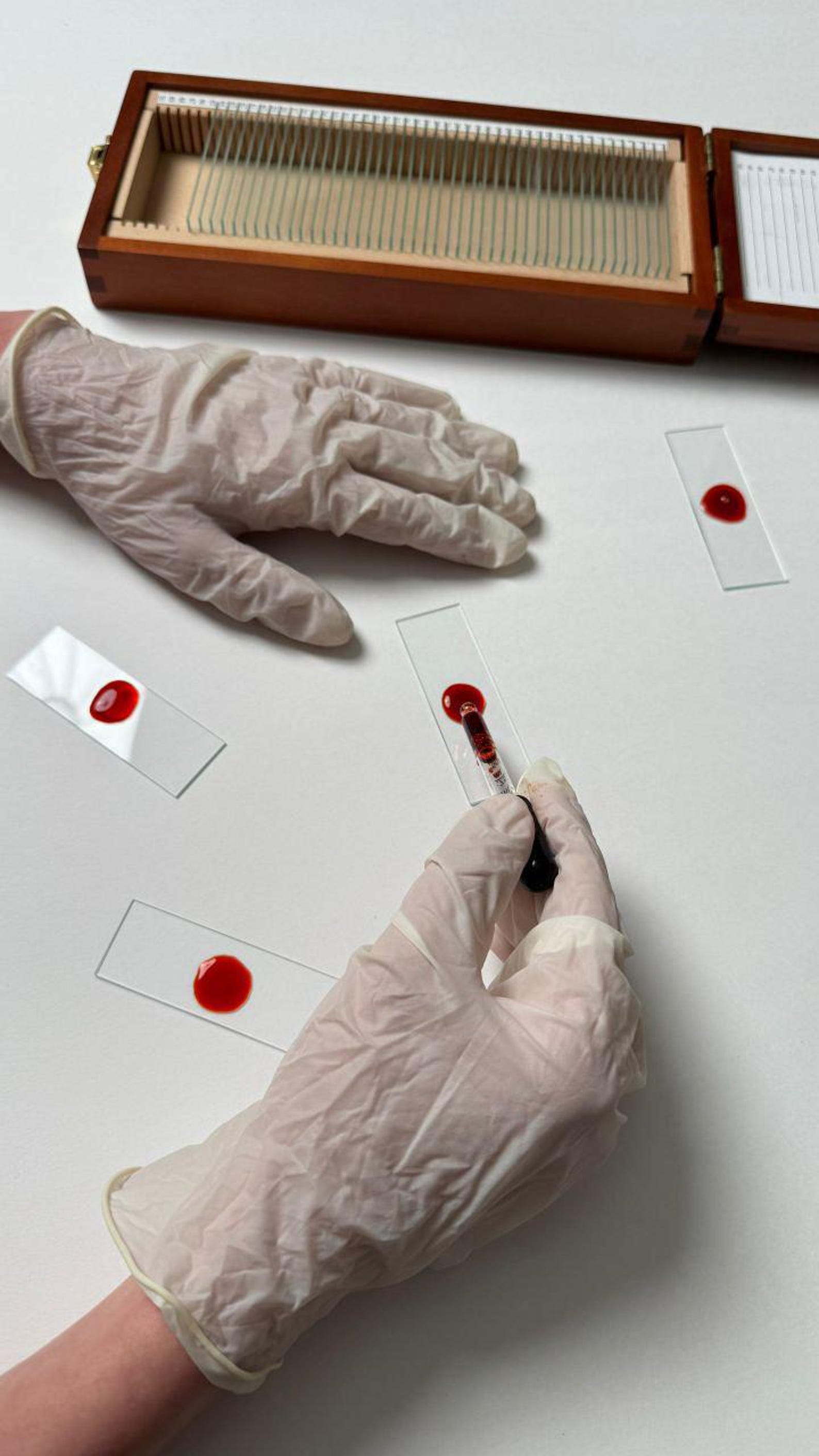 Dexter Morgan Trophy Blood Slide Box | Exact Replica for Dexter Fans ...