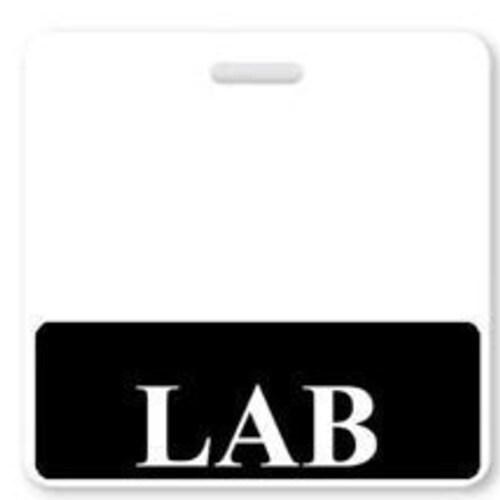 Black LAB Badge Buddy Free Shipping Badge Buddies for Lab Etsy