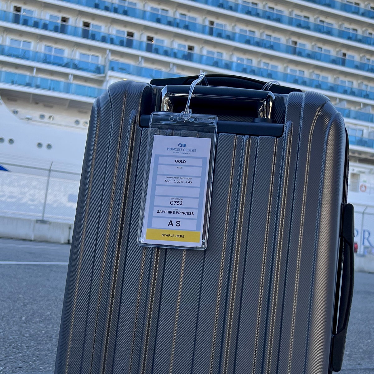 Étiquettes à Bagages De Croisière Zuofan - 4 Pièces Transparentes Imperméables Avec Anneaux Métalliques 8.5x18.5cm