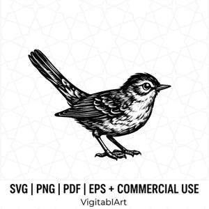May include: A black and white digital illustration of a small bird with a long tail, rendered in a detailed line art style. Below the bird, the text reads: SVG | PNG | PDF | EPS + COMMERCIAL USE, followed by the brand name VigitablArt.
