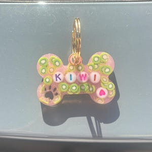 Pet name tags