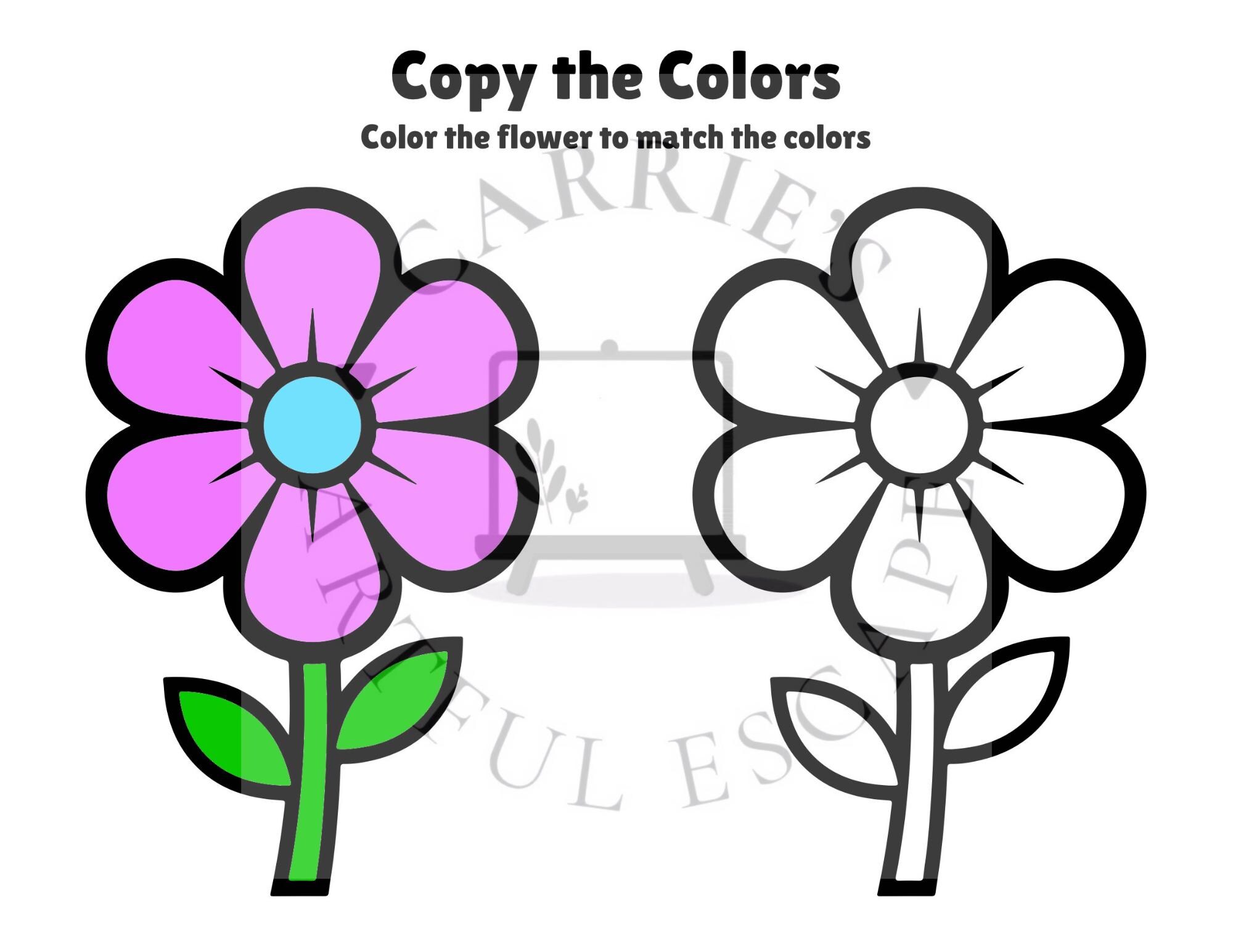 Spring Copy Spring Copy the Colors Printable | Preschool Color Matching Activity ...