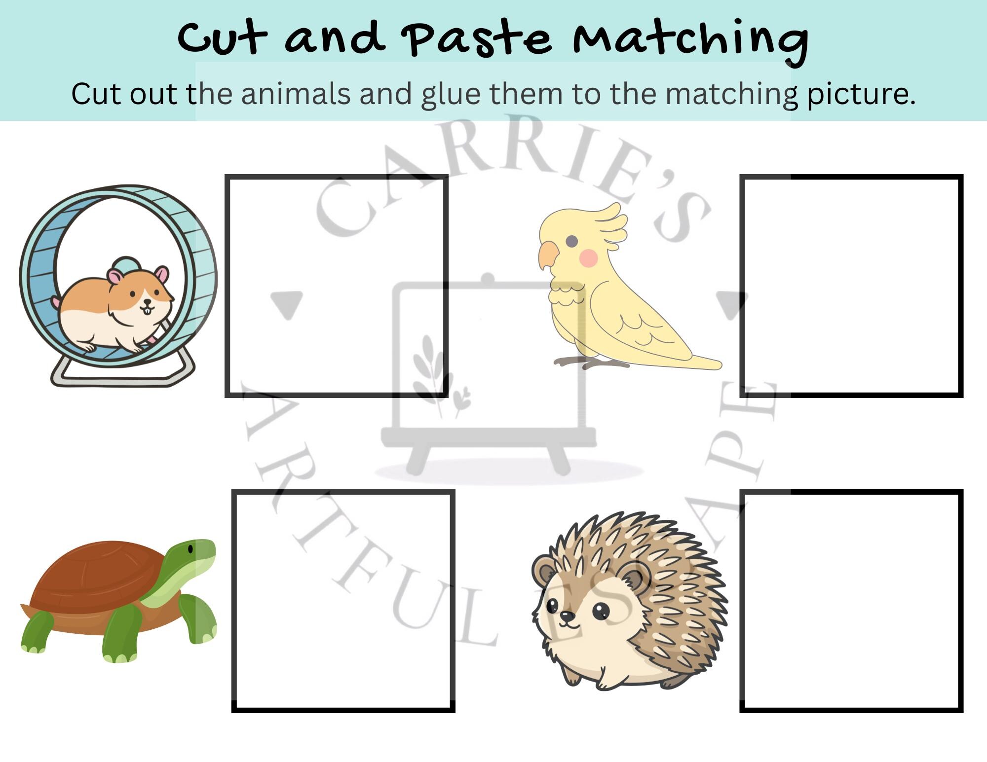 Pets Cut and Paste Matching Activity | Preschool Fine Motor Worksheets ...