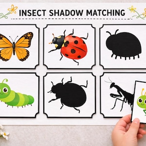 May include: A white wooden insect shadow matching game with colorful insect illustrations. The game includes a butterfly, ladybug, caterpillar, and grasshopper. The text "INSECT SHADOW MATCHING" is at the top.