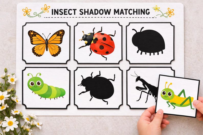 Shadow Insect Worksheet Insect Shadow Matching Cards, Montessori, Fine Motor, Visual ...