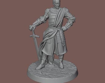 ASOIAF/Game of Thrones Miniatures Lannisters