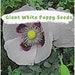 see more listings in the Poppy Seeds section